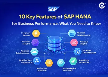 10 Key Features of SAP HANA for Business Performance: What You Need to Know