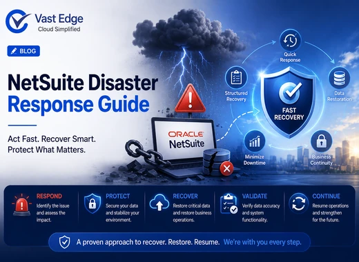 What Should You Do Immediately After a NetSuite Disaster?