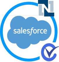 NetSuite Salesforce Integration